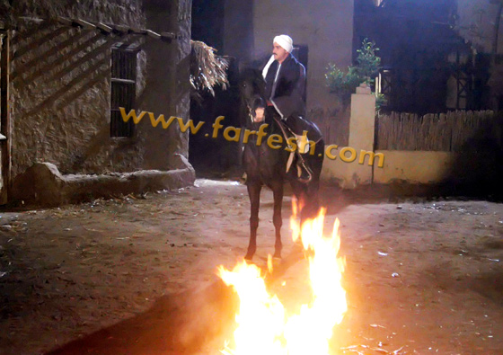 محمد رجب: تبرؤ دوللي شاهين لا يعني فشل أدهم الشرقاوي  صورة رقم 6