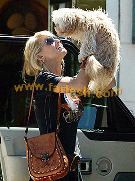 جيسيكا سيمبسون محطمة بسبب خطف كلبها  صورة رقم 12 جيسيكا سيمبسون محطمة بسبب خطف كلبها  صورة رقم 12