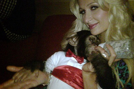 هل تتمنى أن تكون قرد؟ تقبل وتداعب باريس هيلتون!!!  صورة رقم 14 هل تتمنى أن تكون قرد؟ تقبل وتداعب باريس هيلتون!!!  صورة رقم 14