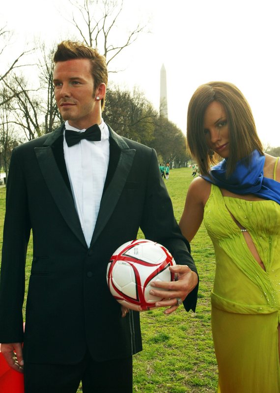 تذكرة سفر كلب ديفيد بيكهام بـ.. 3250 دولارا فقط!! صورة رقم 14 تذكرة سفر كلب ديفيد بيكهام بـ.. 3250 دولارا فقط!! صورة رقم 14