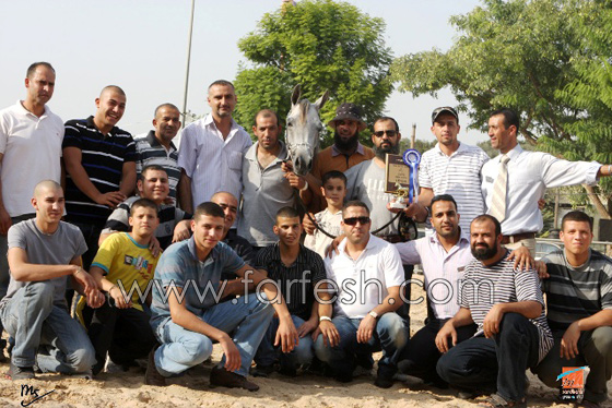 لبانا ملكة جمال الخيول العربي الاصيلة  صورة رقم 1