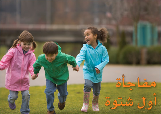 انترنت بيتي لمدة سنة هدية! صورة رقم 1 انترنت بيتي لمدة سنة هدية! صورة رقم 1