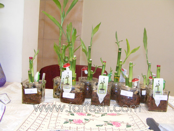بازار خيري تخليدًا لذكرى المدرب اسعد بضعان صورة رقم 3 بازار خيري تخليدًا لذكرى المدرب اسعد بضعان صورة رقم 3