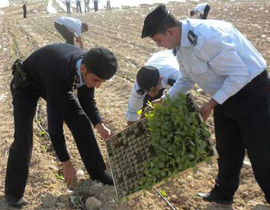 ضباط وافراد الشرطة الفلسطينية يزرعون الارض صورة رقم 1 ضباط وافراد الشرطة الفلسطينية يزرعون الارض صورة رقم 1