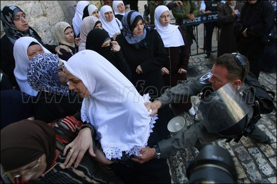 صور من المواجهات وحصار المصلين بالأقصى صورة رقم 10 صور من المواجهات وحصار المصلين بالأقصى صورة رقم 10