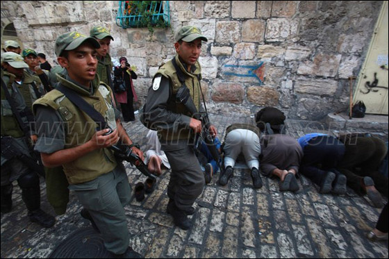 صور من المواجهات وحصار المصلين بالأقصى صورة رقم 23 صور من المواجهات وحصار المصلين بالأقصى صورة رقم 23