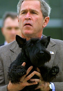 بعد 9 أشهر من الغياب.. بوش: غائط كلبي غير حياتي!!!  صورة رقم 1