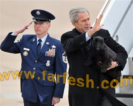 بعد 9 أشهر من الغياب.. بوش: غائط كلبي غير حياتي!!!  صورة رقم 9