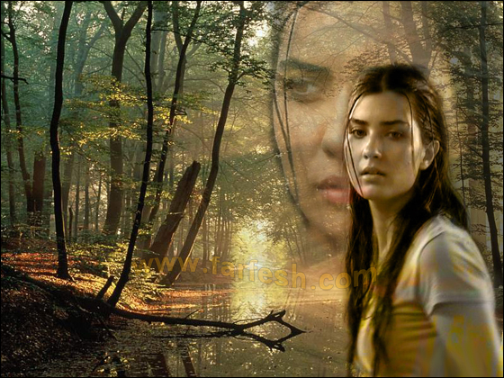 لميس تعود إلى  لميس تعود إلى