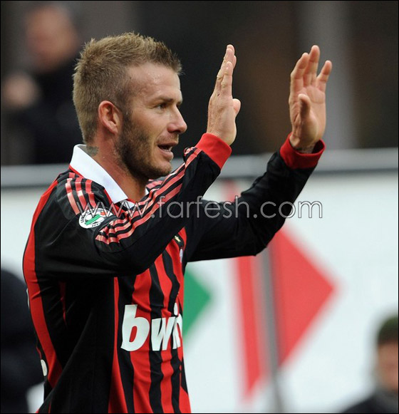 تذكرة سفر كلب ديفيد بيكهام بـ.. 3250 دولارا فقط!! صورة رقم 9 تذكرة سفر كلب ديفيد بيكهام بـ.. 3250 دولارا فقط!! صورة رقم 9