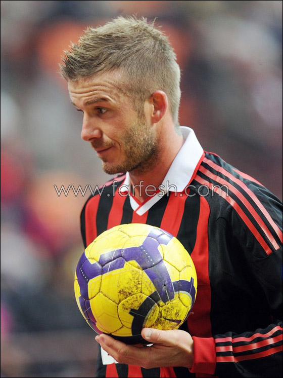 تذكرة سفر كلب ديفيد بيكهام بـ.. 3250 دولارا فقط!! صورة رقم 7 تذكرة سفر كلب ديفيد بيكهام بـ.. 3250 دولارا فقط!! صورة رقم 7