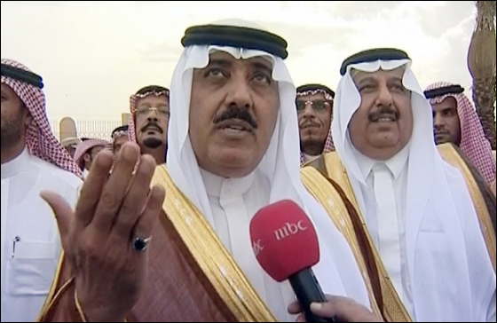 إلعاهل السعودي على منطاد في مهرجان الجنادرية   صورة رقم 3