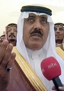 إلعاهل السعودي على منطاد في مهرجان الجنادرية   صورة رقم 1