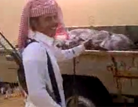 اعتقال سعوديين تمتعا بقتل 20 غزالا في محمية  صورة رقم 2
