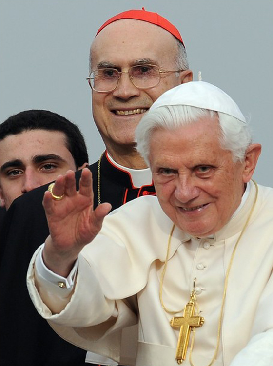 البابا يشعر بالعار ويتأسف لضحايا الاعتداءات النوعية   صورة رقم 3