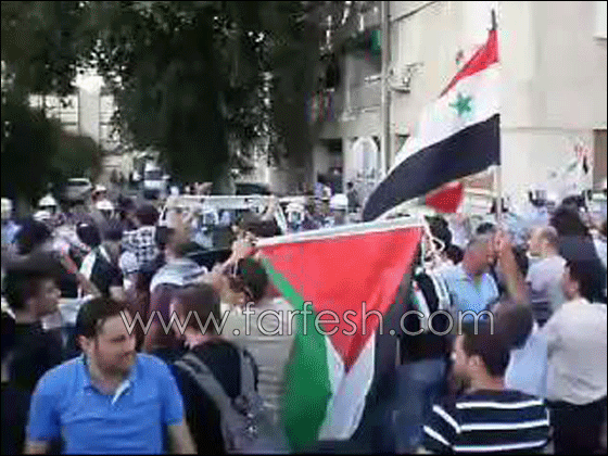 قبرص: متظاهرين فلسطينيين يهاجمون السفارة الاسرائيلية   صورة رقم 3