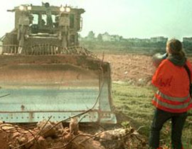 ريتشل كوري زيتونة شامخة على أرض فلسطين صورة رقم 1