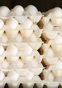 سحب 380 مليون بيضة 