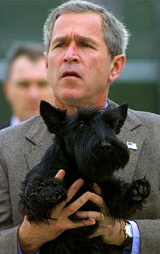 جورج بوش يجمع فضلات كلبه بنفسه بعد مغادرته البيت الأبيض! صورة رقم 6