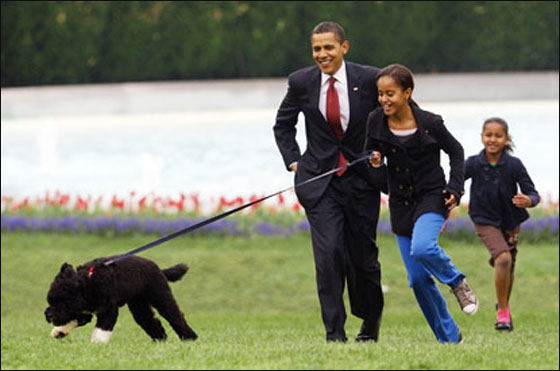 اوباما يمنح وسام الحرية لانجيلا ميركل وبوش الاب!  صورة رقم 13