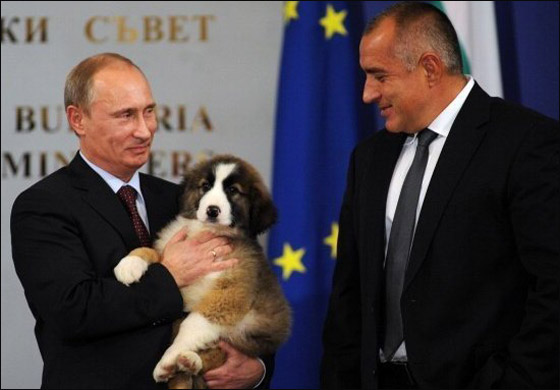 خلال مؤتمر صحفي: رئيس بلغاريا يهدي بوتين جرو!   صورة رقم 3