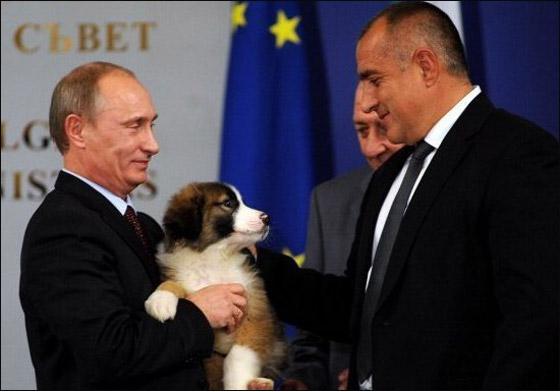 خلال مؤتمر صحفي: رئيس بلغاريا يهدي بوتين جرو!   صورة رقم 4