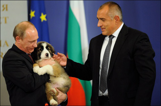 خلال مؤتمر صحفي: رئيس بلغاريا يهدي بوتين جرو!   صورة رقم 7