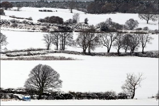 الثلج يغزو بريطانيا في أبكر شتاء منذ 17 عاما!!!     صورة رقم 5