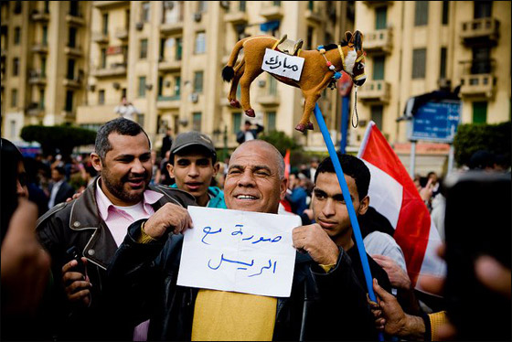بالصور.. شعارات ظريفة طريفة مضحكة ومبكية من ميدان التحرير  صورة رقم 70