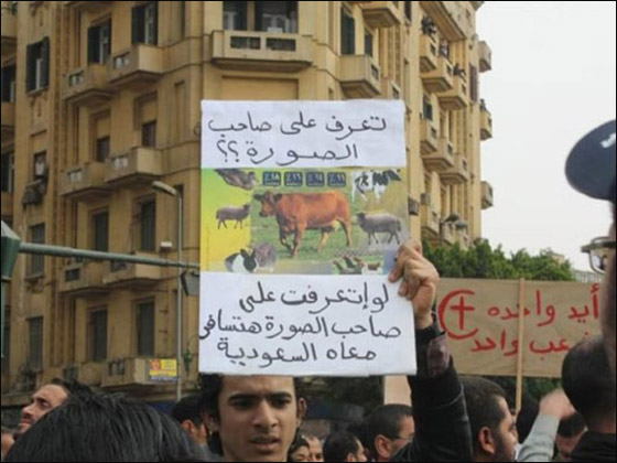 بالصور.. شعارات ظريفة طريفة مضحكة ومبكية من ميدان التحرير  صورة رقم 66