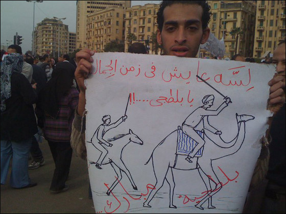 بالصور.. شعارات ظريفة طريفة مضحكة ومبكية من ميدان التحرير  صورة رقم 40