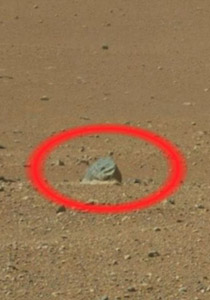 العثور على صخور شبيهة بالحذاء على سطح المريخ!!   صورة رقم 1