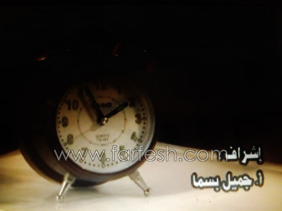 افتتاح مهرجان السينما العربية في باري – إيطاليا بنكهة فلسطينية  صورة رقم 14