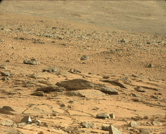 اكتشاف سحلية كأول دليل للحياة على كوكب المريخ  	 صورة رقم 4