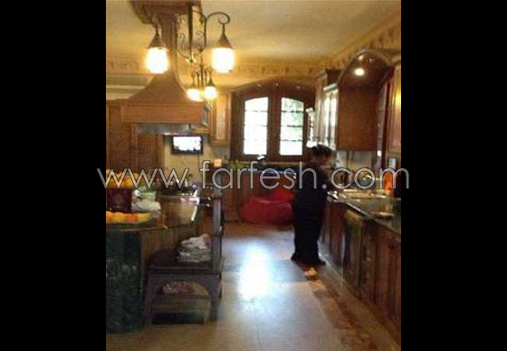 صور منازل 7 فنانات عربيات شهيرات صورة رقم 19