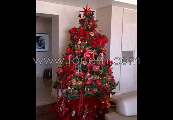 صور منازل 7 فنانات عربيات شهيرات صورة رقم 42
