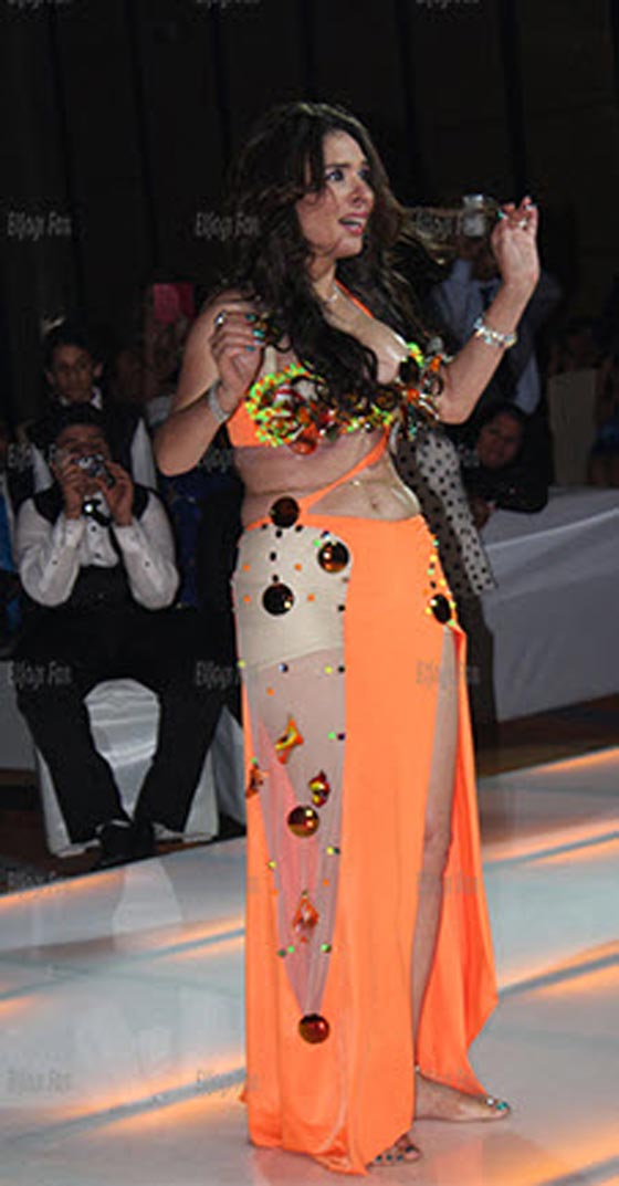 اجور الفنانين الخيالية في حفلات رأس السنة 2015 صورة رقم 8 اجور الفنانين الخيالية في حفلات رأس السنة 2015 صورة رقم 8
