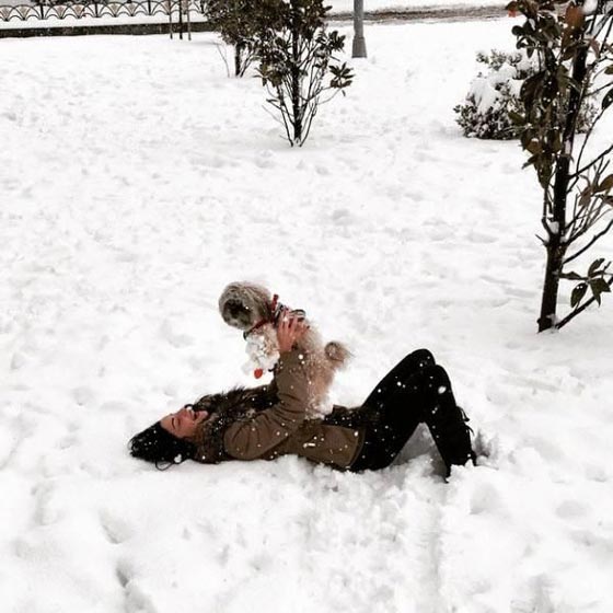 العاصفة السيبيرية تنزل النجوم الاتراك من السماء الى الثلوج الرائعة صورة رقم 3