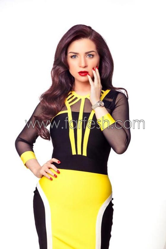  اجور الفنانين في مسلسلات رمضان 2015 صورة رقم 19
