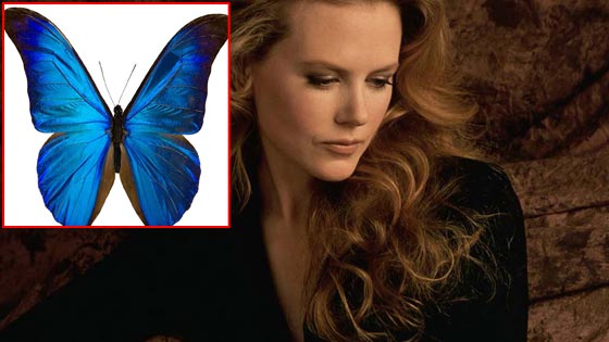اشياء ترعب الفنانات.. منها المسبح والصرصور والبيضة!! صورة رقم 1 اشياء ترعب الفنانات.. منها المسبح والصرصور والبيضة!! صورة رقم 1