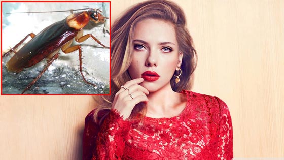 اشياء ترعب الفنانات.. منها المسبح والصرصور والبيضة!! صورة رقم 8 اشياء ترعب الفنانات.. منها المسبح والصرصور والبيضة!! صورة رقم 8