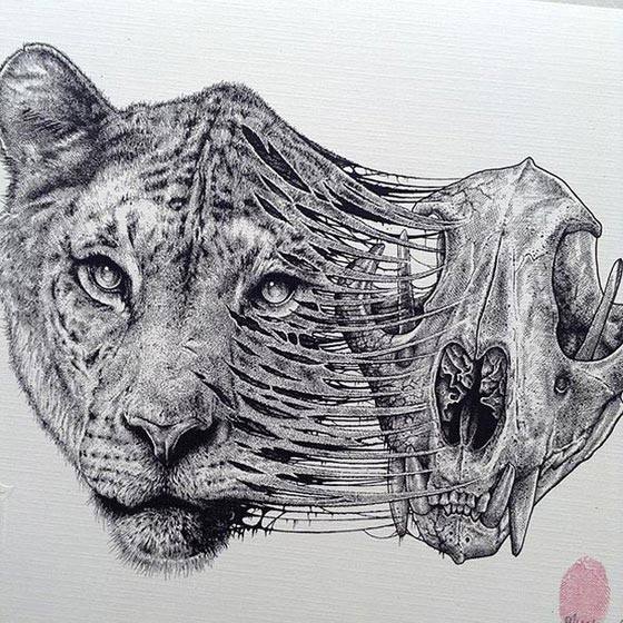 بالصور.. بول جاكسون فنان مبدع يحول رسوماته الى هياكل عظمية صورة رقم 3 بالصور.. بول جاكسون فنان مبدع يحول رسوماته الى هياكل عظمية صورة رقم 3
