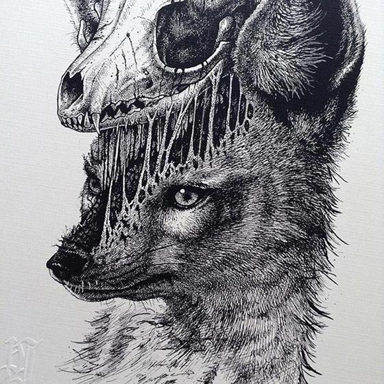 بالصور.. بول جاكسون فنان مبدع يحول رسوماته الى هياكل عظمية صورة رقم 10 بالصور.. بول جاكسون فنان مبدع يحول رسوماته الى هياكل عظمية صورة رقم 10