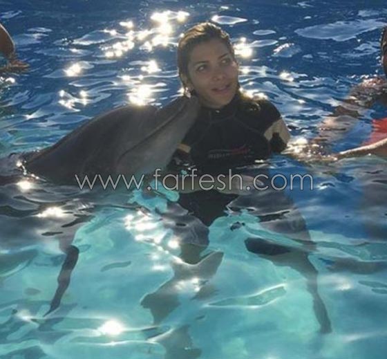 علاقة نجوم الفن بالحيوانات.. لها اكثر من سبب صورة رقم 11 علاقة نجوم الفن بالحيوانات.. لها اكثر من سبب صورة رقم 11
