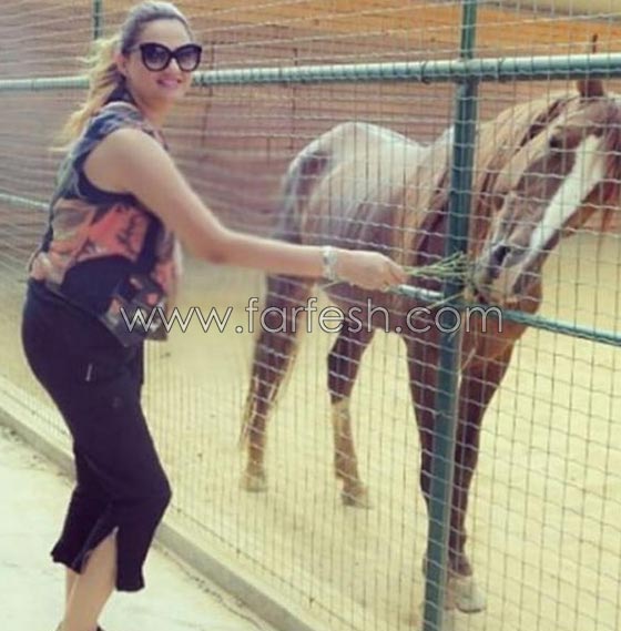علاقة نجوم الفن بالحيوانات.. لها اكثر من سبب صورة رقم 8 علاقة نجوم الفن بالحيوانات.. لها اكثر من سبب صورة رقم 8
