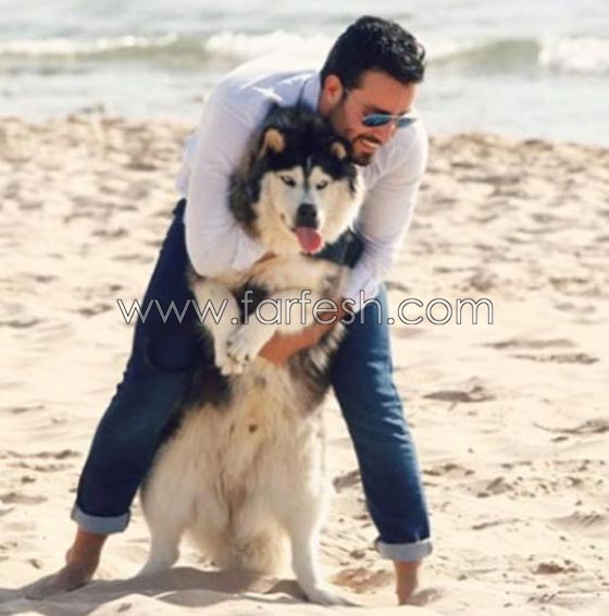 علاقة نجوم الفن بالحيوانات.. لها اكثر من سبب صورة رقم 9 علاقة نجوم الفن بالحيوانات.. لها اكثر من سبب صورة رقم 9