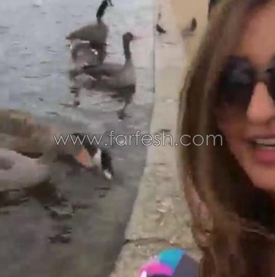 علاقة نجوم الفن بالحيوانات.. لها اكثر من سبب صورة رقم 7 علاقة نجوم الفن بالحيوانات.. لها اكثر من سبب صورة رقم 7