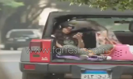 تامر حسني ينشر فيديو غادة عادل تقفز صارخة من قرد هاجمها في فيلم اهواك صورة رقم 2 تامر حسني ينشر فيديو غادة عادل تقفز صارخة من قرد هاجمها في فيلم اهواك صورة رقم 2