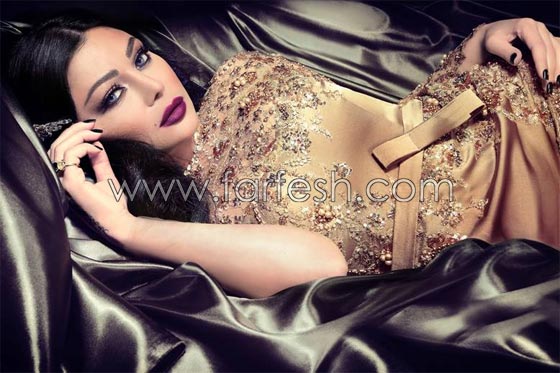 فيديو وصور استقبال هيفاء وهبي في المغرب في هودج مغربي (العمارية) صورة رقم 10 فيديو وصور استقبال هيفاء وهبي في المغرب في هودج مغربي (العمارية) صورة رقم 10