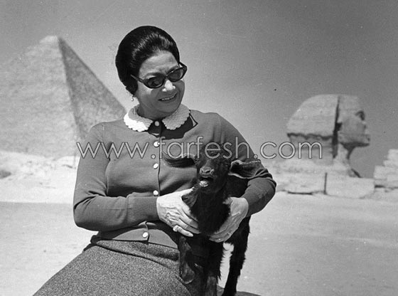 10 تغريدات ساخرة باسم كوكب الشرق ام كلثوم صورة رقم 12 10 تغريدات ساخرة باسم كوكب الشرق ام كلثوم صورة رقم 12
